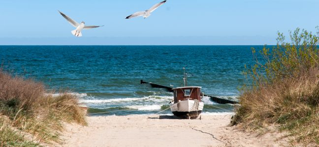 La pêche du calamar à la dandine