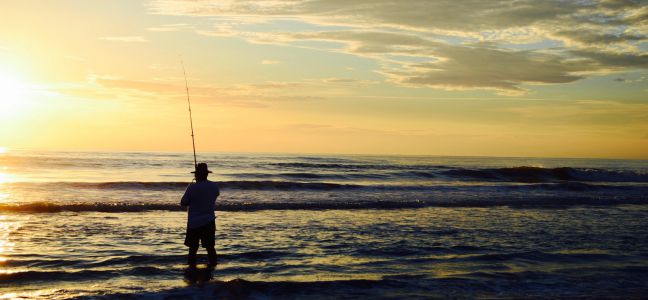 Le bar au lancer-ramener