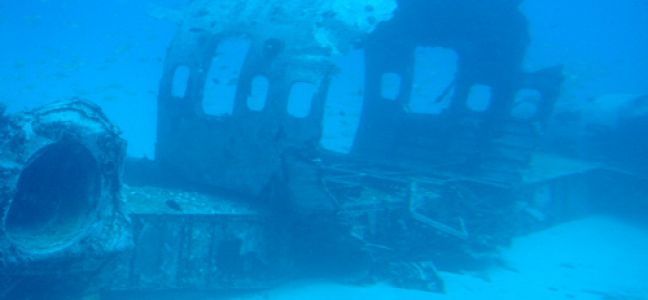 Techniques de pêche du lieu jaune