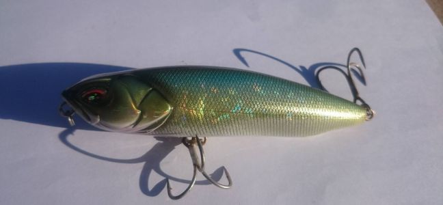 Pêcher le bar au leurre de surface