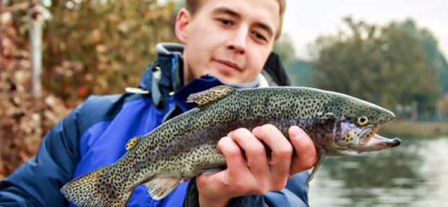 Pêche de la truite à la mouche