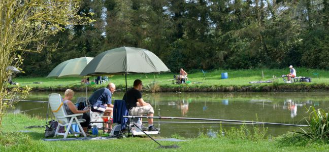 La pêche de la carpe au coup
