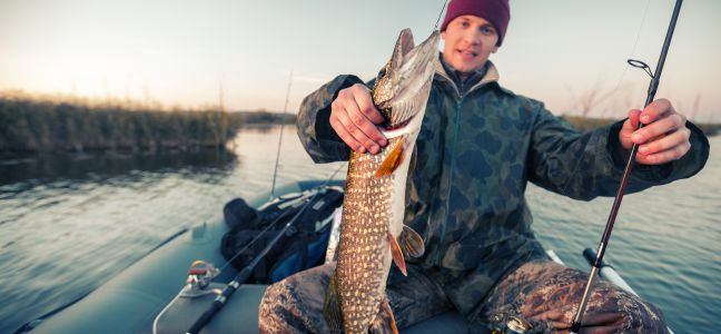La pêche du brochet au vif