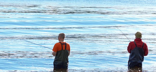 Pêche à la grattée