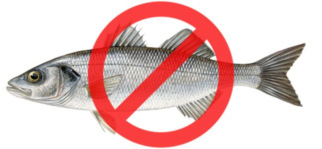 Interdiction de la pêche du bar en 2018 : POUR ou CONTRE ?