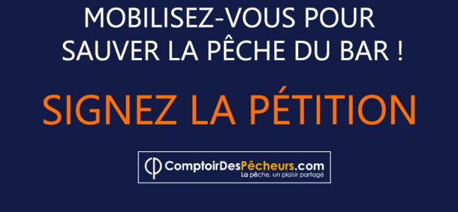 Interdiction de la pêche du Bar 2018