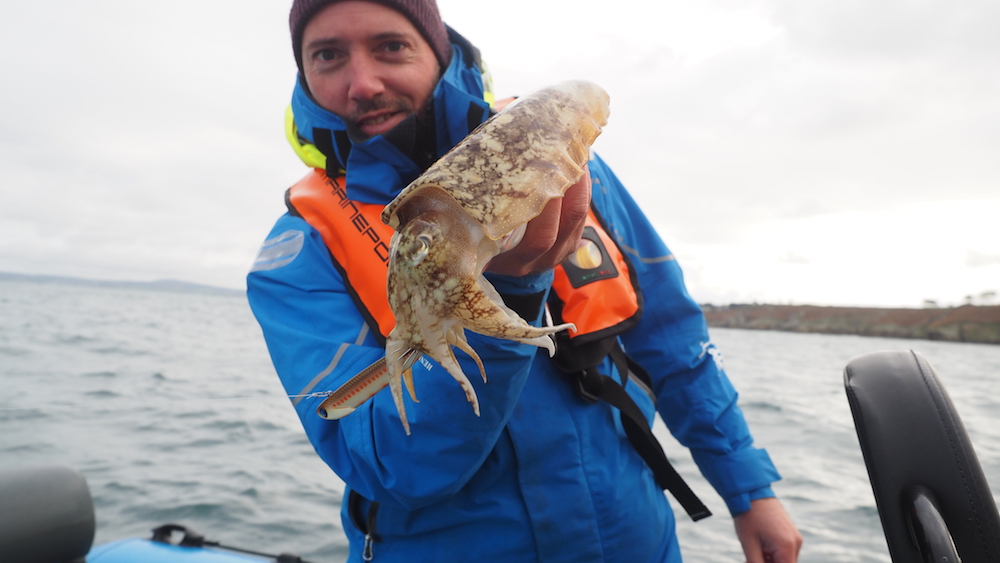 Le secret pour pêcher des seiches et des calamars !