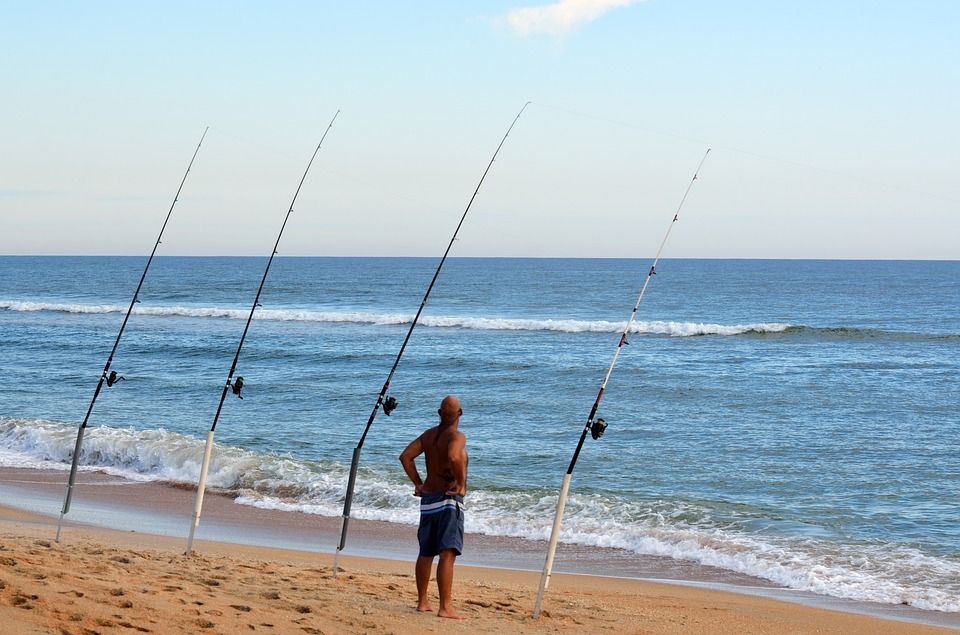 Pêcher le bar en surfcasting