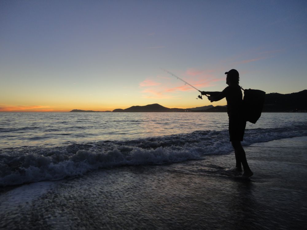 Pêcher le bar au leurre du bord