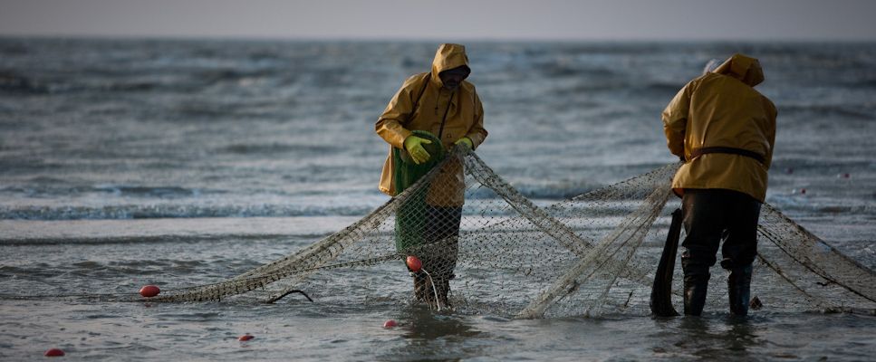 Pêcher la sole au filet