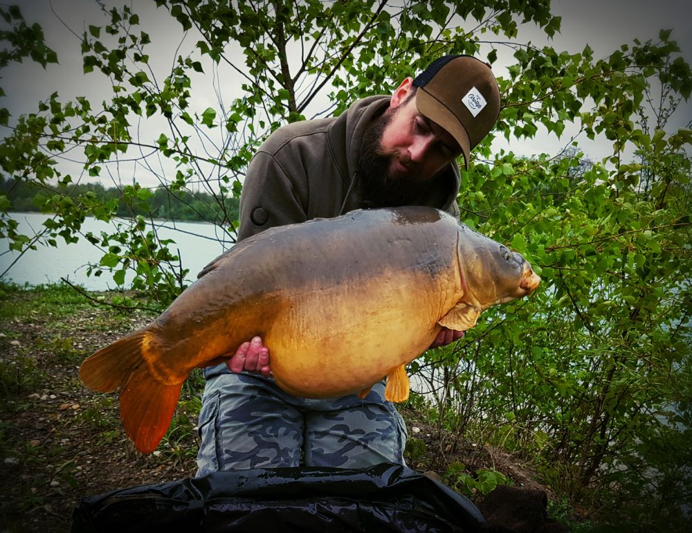 CARPE : EN MODE BAROUDEUR