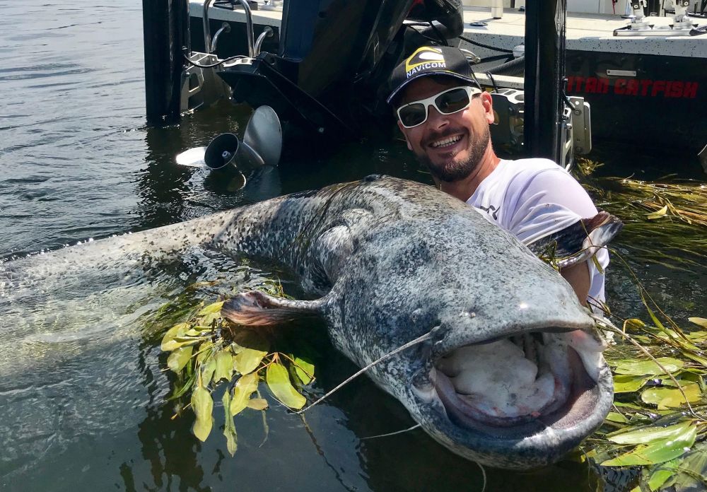 Les pros ont la parole : les moteurs adaptés à la compétition