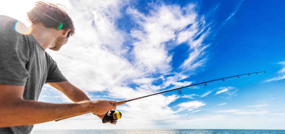 Pêche du bar : Déclarations et Quotas imposés par l'Europe ?