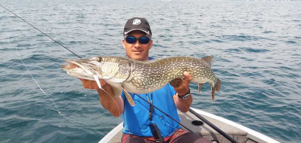 Les pros ont la parole : la pêche en lac