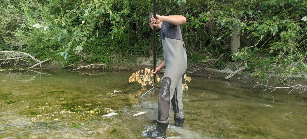 Des milliers de poissons morts dans l'Aisne : une plainte déposé contre Nestlé