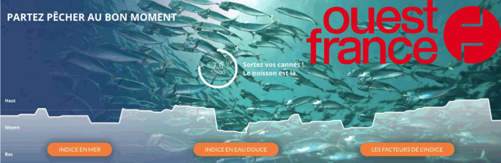 Comptoir Des Pêcheurs vous donne l’heure du bar