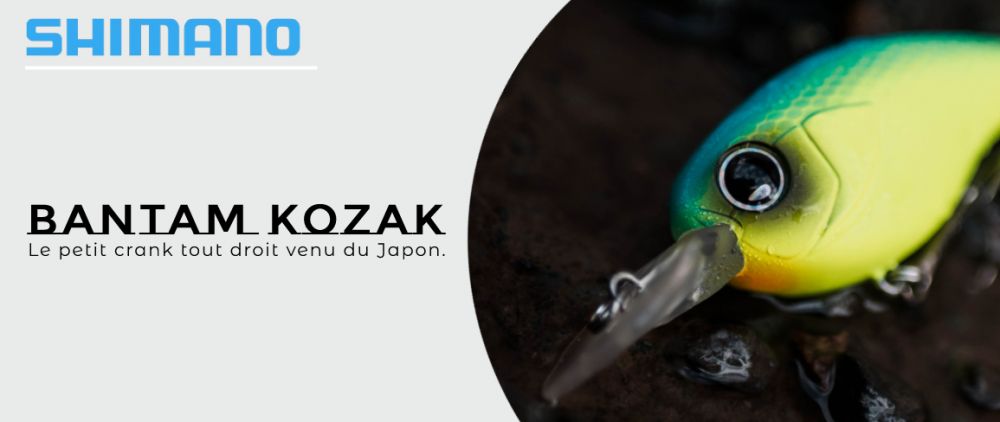 Découvrez le leurre parfait pour la pêche au brochet, perche, black-bass et autres carnassiers.