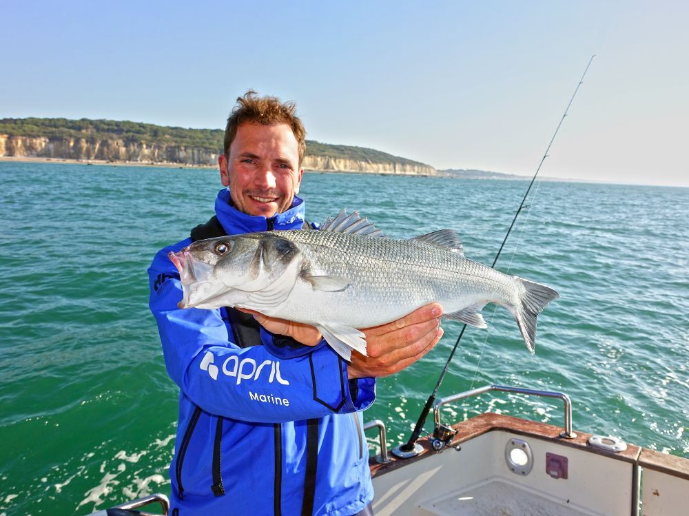 Pêche au Bar :  Fin de la limitation de 2 bars par jour au 30 novembre 21 ?