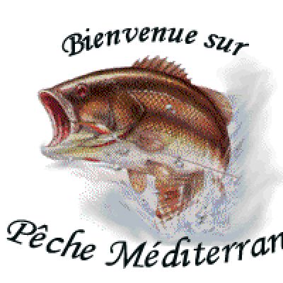Pêche Méditerranée