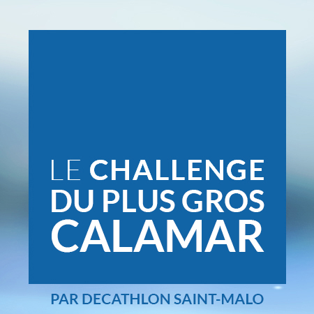 Challenge du plus gros calamar