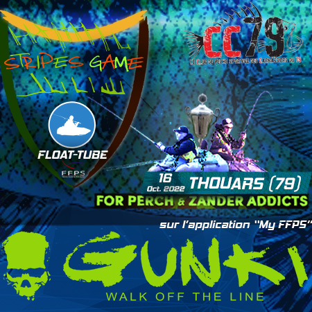 STRIPES GAME de Thouars