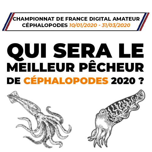 CHAMPIONNAT DE FRANCE DIGITAL AMATEUR CÉPHALOPODES 