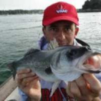 Philippe Sirop Escale-peche Guide De Pêche Aux Bars Sur Le Golfe Du Morbihan