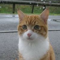 Sébastien Sevelinge