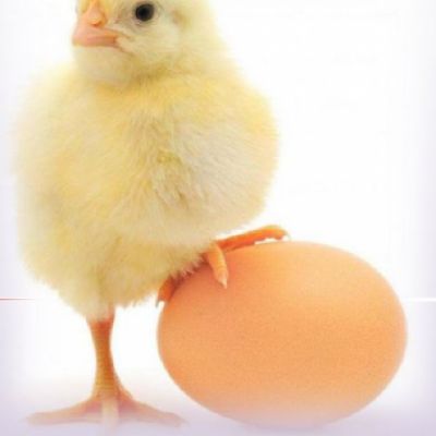 Supprimer ce compte SVP