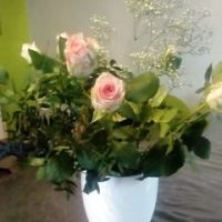 Annie Peschet-laneau