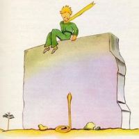 Jean-christophe Catusse