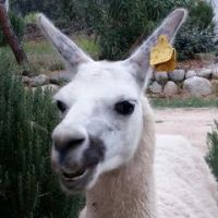 cyril.assadourian___d