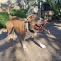 Elô Nolhan Nathys Naelie