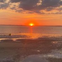 Sylvie Couturier Roustaing