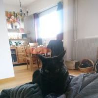 Stephane Imaque Chartagnac