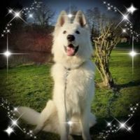 Gaëlle Baron Zielinski