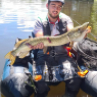 wilfriedfumoleau49400