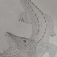 Brocodile84