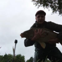 Dylan carpiste /carnassiers 