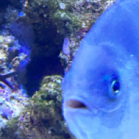 lilianjasseau@gmail.com