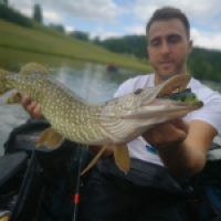 thibault.salom